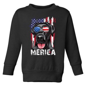 Black Labrador Retriever 4th Of July Merica Usa Flag Lab Dog Toddler Sweatshirt