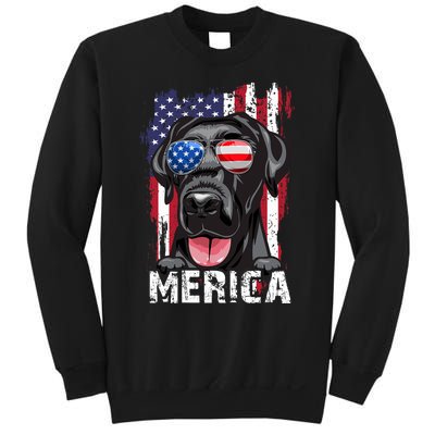 Black Labrador Retriever 4th Of July Merica Usa Flag Lab Dog Sweatshirt