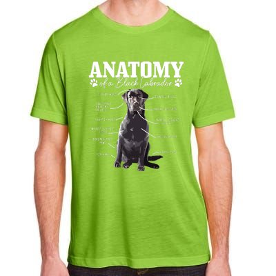 Black Labrador Retriever Anatomy Funny Cute Dog Mom Dad Adult ChromaSoft Performance T-Shirt