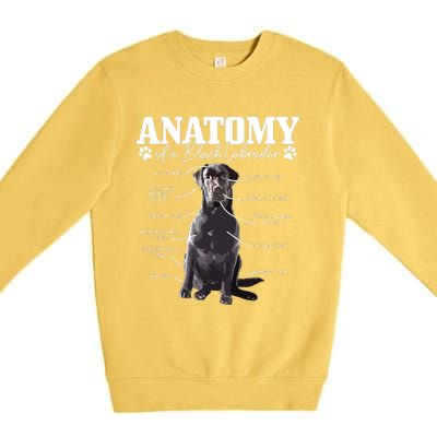 Black Labrador Retriever Anatomy Funny Cute Dog Mom Dad Premium Crewneck Sweatshirt