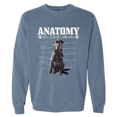 Black Labrador Retriever Anatomy Funny Cute Dog Mom Dad Garment-Dyed Sweatshirt