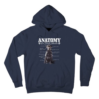 Black Labrador Retriever Anatomy Funny Cute Dog Mom Dad Hoodie