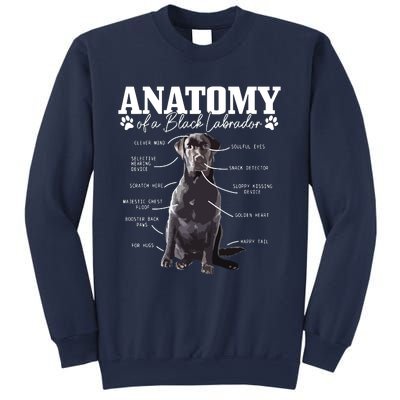 Black Labrador Retriever Anatomy Funny Cute Dog Mom Dad Sweatshirt