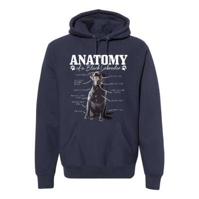 Black Labrador Retriever Anatomy Funny Cute Dog Mom Dad Premium Hoodie