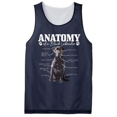 Black Labrador Retriever Anatomy Funny Cute Dog Mom Dad Mesh Reversible Basketball Jersey Tank