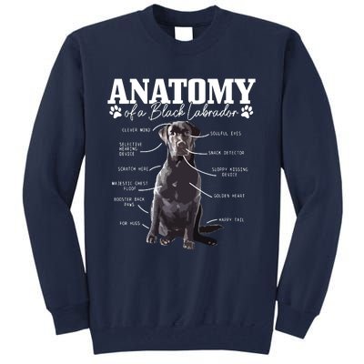 Black Labrador Retriever Anatomy Funny Cute Dog Mom Dad Tall Sweatshirt