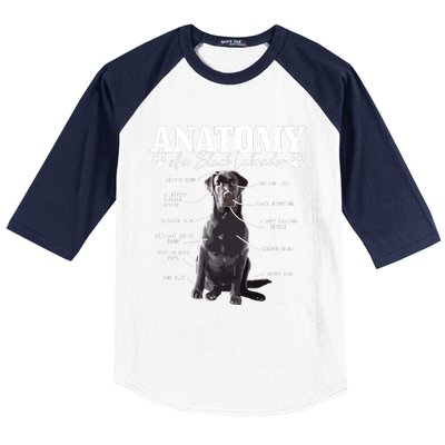 Black Labrador Retriever Anatomy Funny Cute Dog Mom Dad Baseball Sleeve Shirt