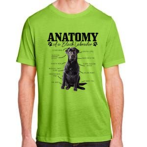 Black Labrador Retriever Anatomy Funny Cute Dog Mom Dad Adult ChromaSoft Performance T-Shirt