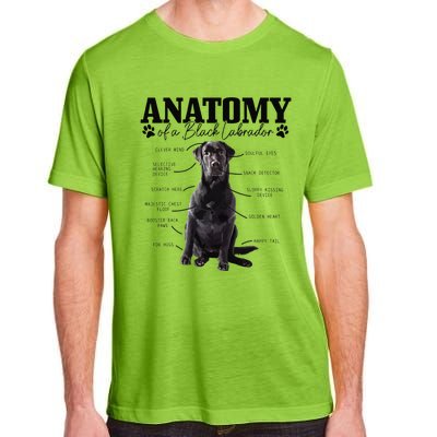 Black Labrador Retriever Anatomy Funny Cute Dog Mom Dad Adult ChromaSoft Performance T-Shirt