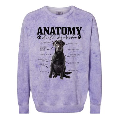 Black Labrador Retriever Anatomy Funny Cute Dog Mom Dad Colorblast Crewneck Sweatshirt