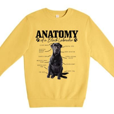 Black Labrador Retriever Anatomy Funny Cute Dog Mom Dad Premium Crewneck Sweatshirt