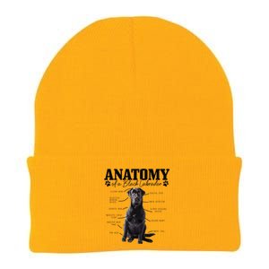 Black Labrador Retriever Anatomy Funny Cute Dog Mom Dad Knit Cap Winter Beanie