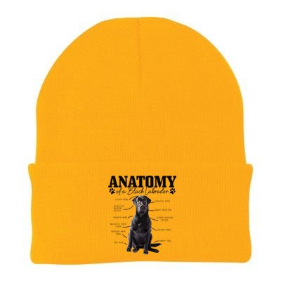 Black Labrador Retriever Anatomy Funny Cute Dog Mom Dad Knit Cap Winter Beanie