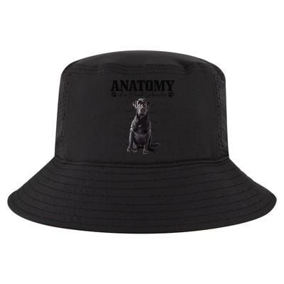 Black Labrador Retriever Anatomy Funny Cute Dog Mom Dad Cool Comfort Performance Bucket Hat