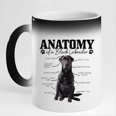 Black Labrador Retriever Anatomy Funny Cute Dog Mom Dad 11oz Black Color Changing Mug