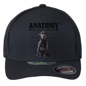 Black Labrador Retriever Anatomy Funny Cute Dog Mom Dad Flexfit Unipanel Trucker Cap