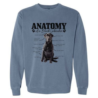 Black Labrador Retriever Anatomy Funny Cute Dog Mom Dad Garment-Dyed Sweatshirt