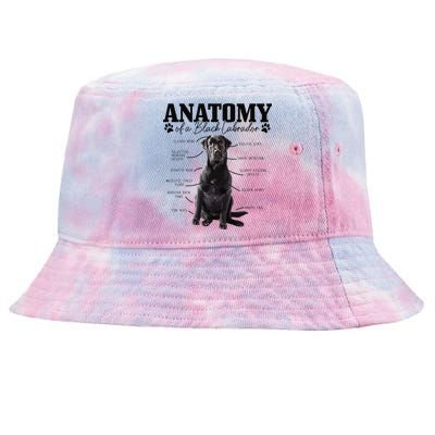 Black Labrador Retriever Anatomy Funny Cute Dog Mom Dad Tie-Dyed Bucket Hat