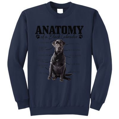 Black Labrador Retriever Anatomy Funny Cute Dog Mom Dad Sweatshirt