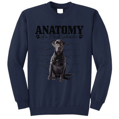 Black Labrador Retriever Anatomy Funny Cute Dog Mom Dad Tall Sweatshirt