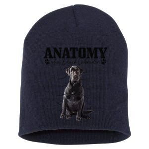 Black Labrador Retriever Anatomy Funny Cute Dog Mom Dad Short Acrylic Beanie