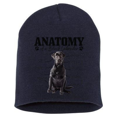 Black Labrador Retriever Anatomy Funny Cute Dog Mom Dad Short Acrylic Beanie