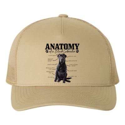 Black Labrador Retriever Anatomy Funny Cute Dog Mom Dad Yupoong Adult 5-Panel Trucker Hat