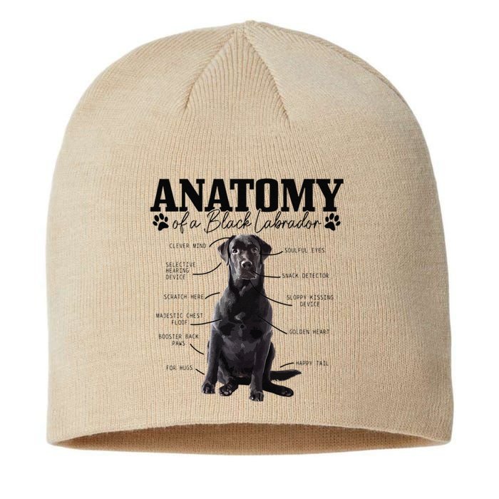 Black Labrador Retriever Anatomy Funny Cute Dog Mom Dad Sustainable Beanie