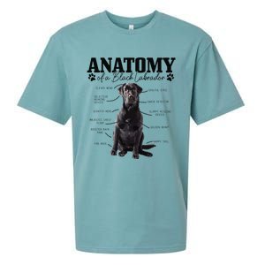 Black Labrador Retriever Anatomy Funny Cute Dog Mom Dad Sueded Cloud Jersey T-Shirt