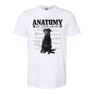 Black Labrador Retriever Anatomy Funny Cute Dog Mom Dad Softstyle CVC T-Shirt