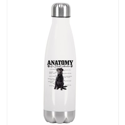 Black Labrador Retriever Anatomy Funny Cute Dog Mom Dad Stainless Steel Insulated Water Bottle