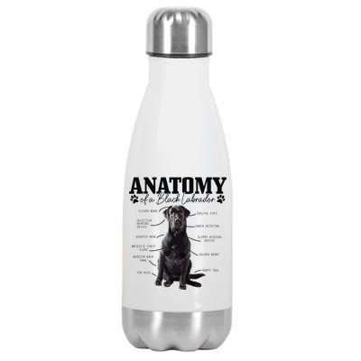 Black Labrador Retriever Anatomy Funny Cute Dog Mom Dad Stainless Steel Insulated Water Bottle