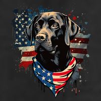 Black Labrador Retriever USA Flag Lab Dog Lover Gifts Beanie