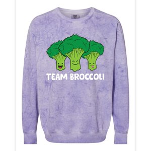 Broccoli Lover Team Broccoli Vegan Vegetarian Broccoli Funny Gift Colorblast Crewneck Sweatshirt