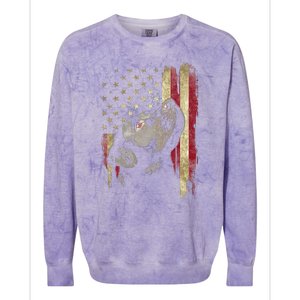 Black Labrador USA Flag Lab Owner Duck Hunter Colorblast Crewneck Sweatshirt