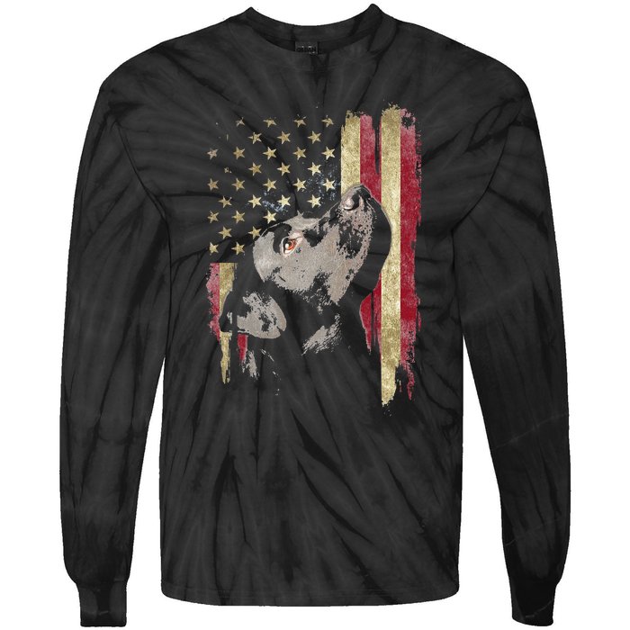 Black Labrador USA Flag Lab Owner Duck Hunter Tie-Dye Long Sleeve Shirt