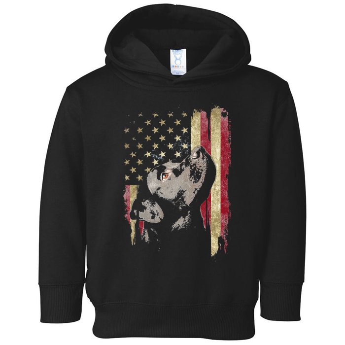 Black Labrador USA Flag Lab Owner Duck Hunter Toddler Hoodie