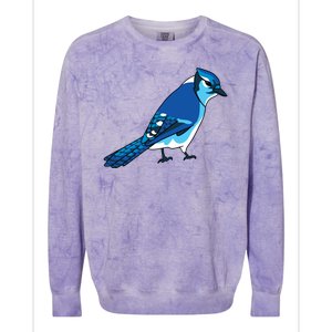 Blue Jay Bird Colorblast Crewneck Sweatshirt