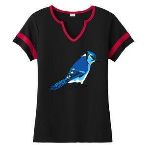 Blue Jay Bird Ladies Halftime Notch Neck Tee