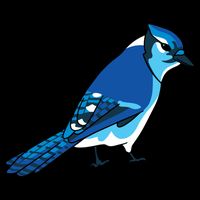 Blue Jay Bird USA-Made Doggie Bandana
