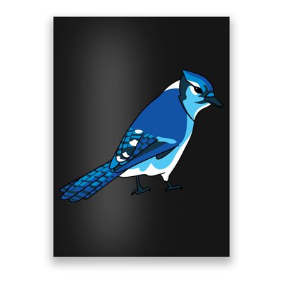 Blue Jay Bird Poster