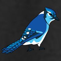 Blue Jay Bird Golf Towel