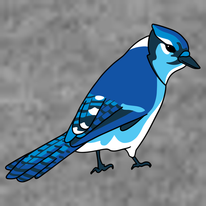 Blue Jay Bird Baby Bodysuit