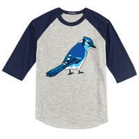 Blue Jay Bird Kids Colorblock Raglan Jersey