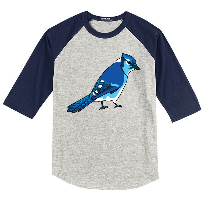 Blue Jay Bird Kids Colorblock Raglan Jersey