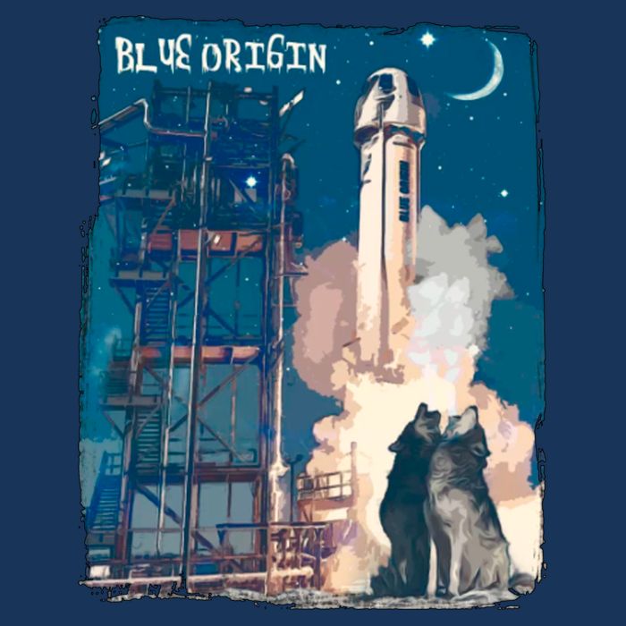 Blue Origin Space Launch 16 in Basic Backpack