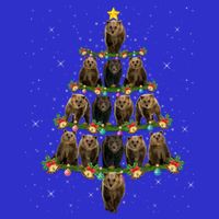 Bear Lover Xmas Tree Lights Santa Bear Christmas Funny Gift Tall T-Shirt