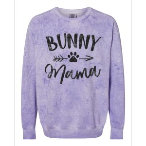 Bunny Mama Animal Lovers Pet Owner Gifts Rabbit Mom Colorblast Crewneck Sweatshirt