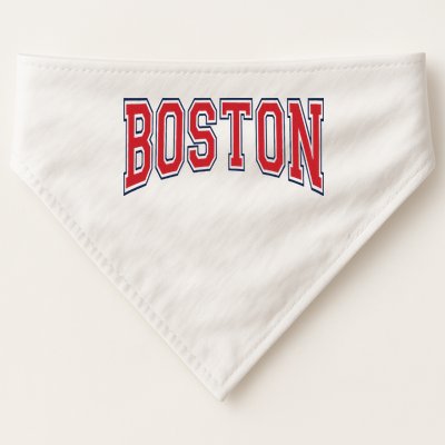 Boston Massachusetts USA-Made Doggie Bandana