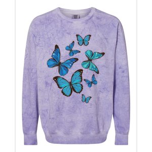 Blue Morpho Butterfly Swarm Lepidoptera Lover Entomologist Colorblast Crewneck Sweatshirt